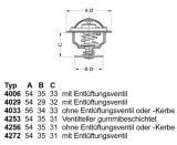 WAHLER 4256.83D60 Engine Cooling