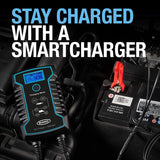 Ring Automotive RSC808 smart car battery charger 12v 24v 8A