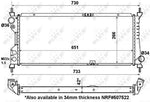 NRF 56163 Coolant Motor